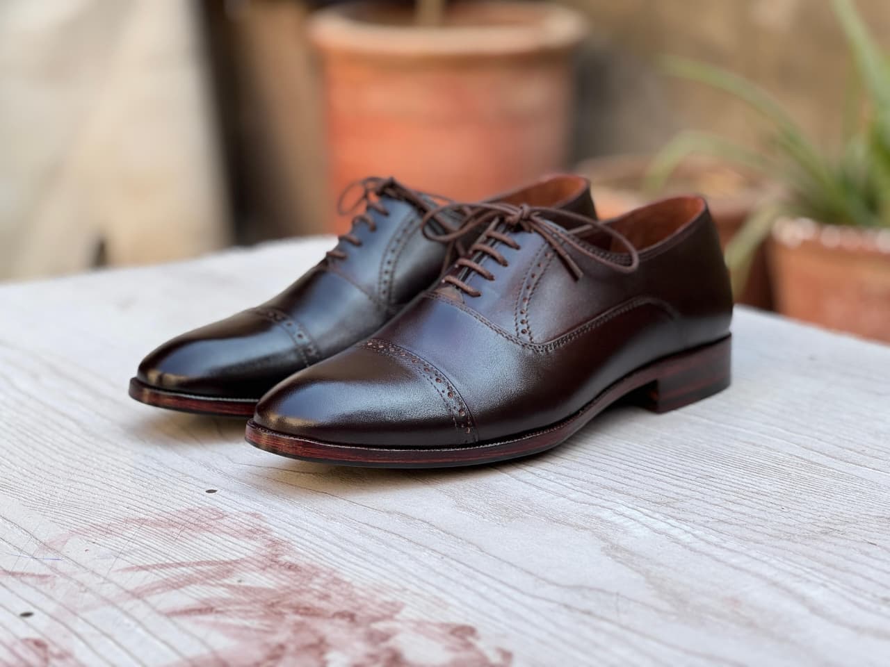 Oxfords Elite - 5009